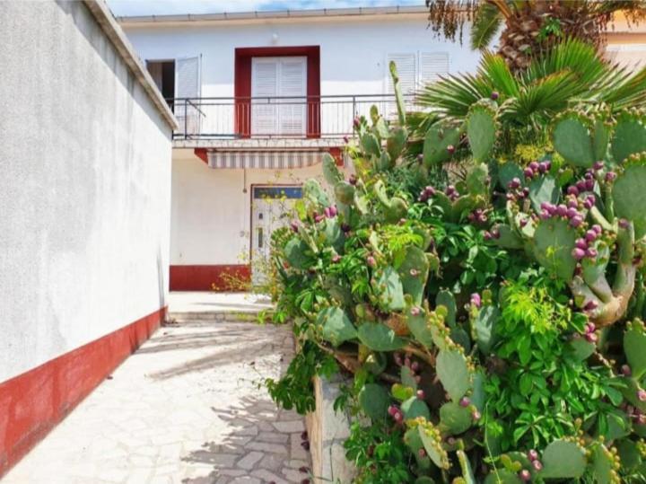 Apartmanibeta Stara Novalja Εξωτερικό φωτογραφία